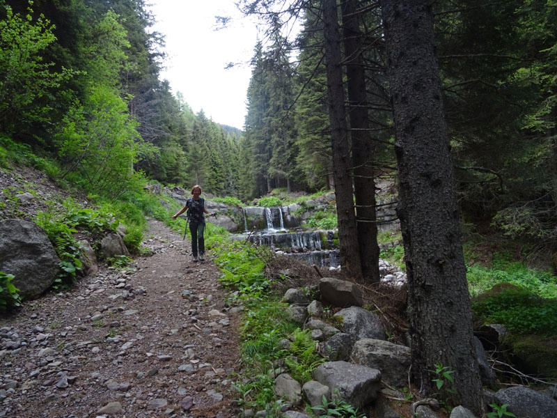 Catena dei Lagorai...da Pergine al Passo del Manghen